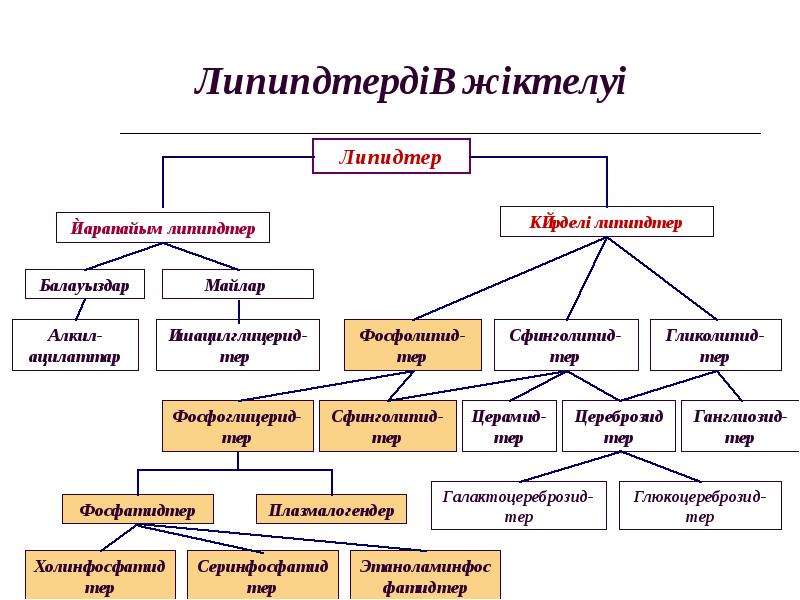 Липидтердің құрылымдық компоненттері презентация