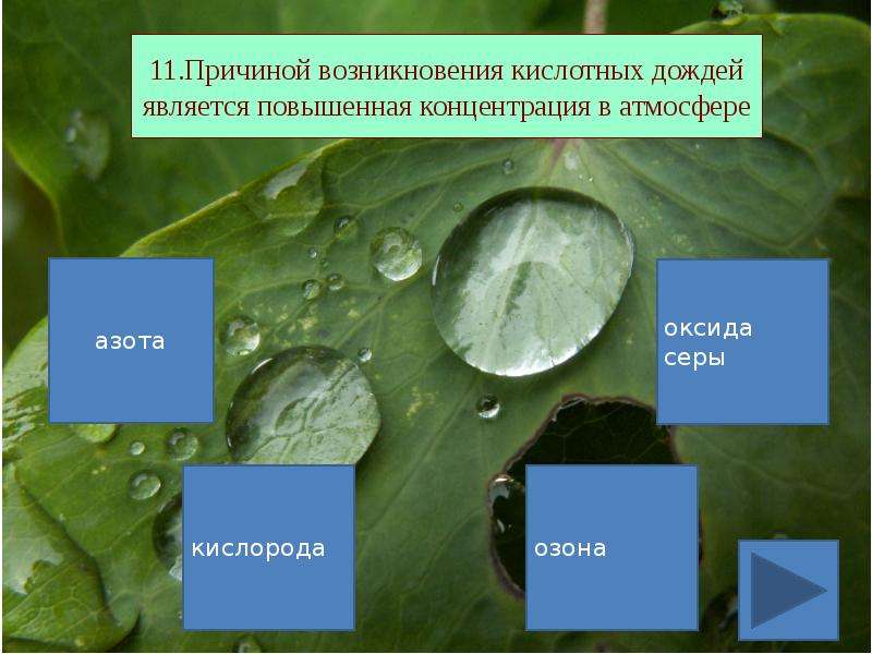 Почему осадки. Причиной кислотных дождей является. Причиной кислотных дождей является повышенная. Кислотные дожди причины. Причина кислотных дождей является повышенная концентрация.