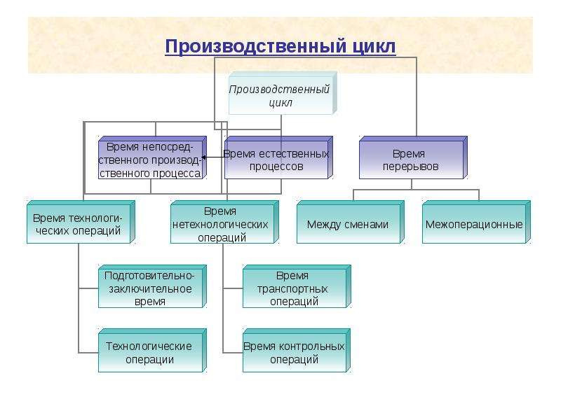 Производственный цикл сложного процесса. Структура производственного цикла. Производственный цикл предприятия. Производственный цикл состоит из.