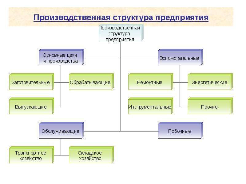 Подразделения классов. Производственная структура организации схема. Схема производственной структуры цеха. Производственная структура предприятия схема. Производственная структура цеха схема предприятия.