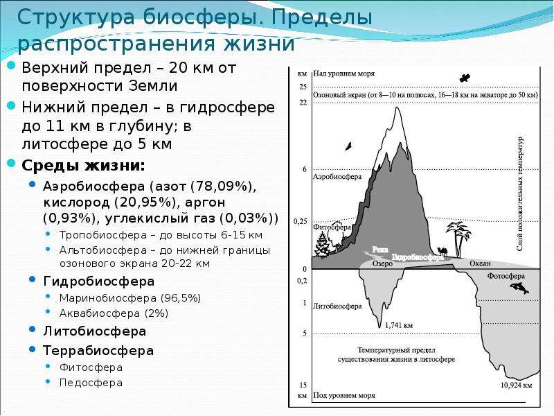 Нарисуй схему границы биосферы покажите штриховкой область земли в которой существует жизнь 6 класс