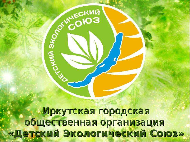 Иркутская городская общественная организация «Детский Экологический Союз»