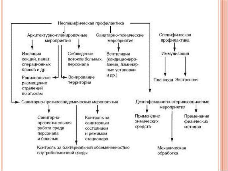 План профилактики исмп