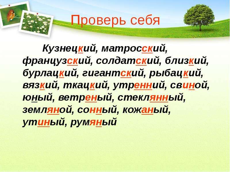 Повторение изученного в 6 классе орфография презентация