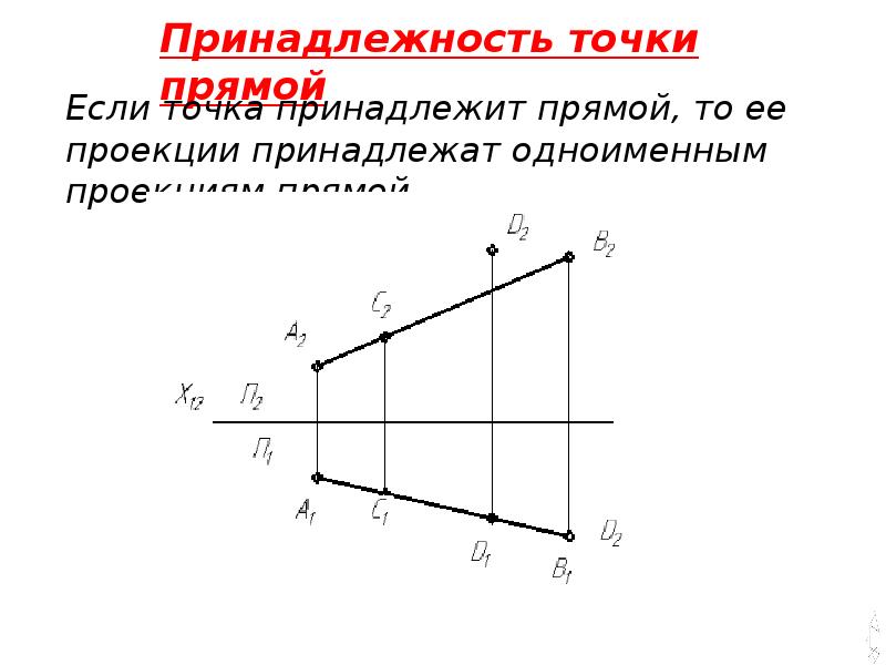 Основное свойство принадлежности точек и прямых. Условие принадлежности: точки и прямой , прямой и точки плоскости. Признак принадлежности точки прямой.