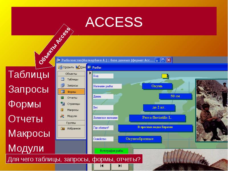 Презентация макросы в access - 88 фото