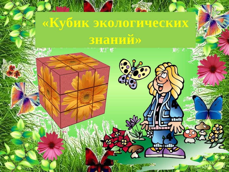 Среда знаний. Экологические кубики. Игры по экологии с кубиками. Экологический куб. Игры для детей по экологии с кубом.