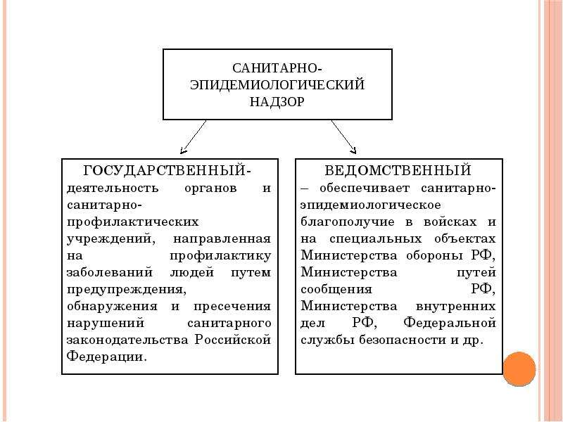 Основы медицинского права презентация