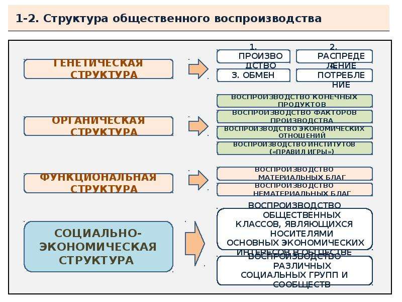 Воспроизводство структура. Структура общественного воспроизводства. Теории социального воспроизводства. Структура общественных отношений. Общественное воспроизводство и его структура.