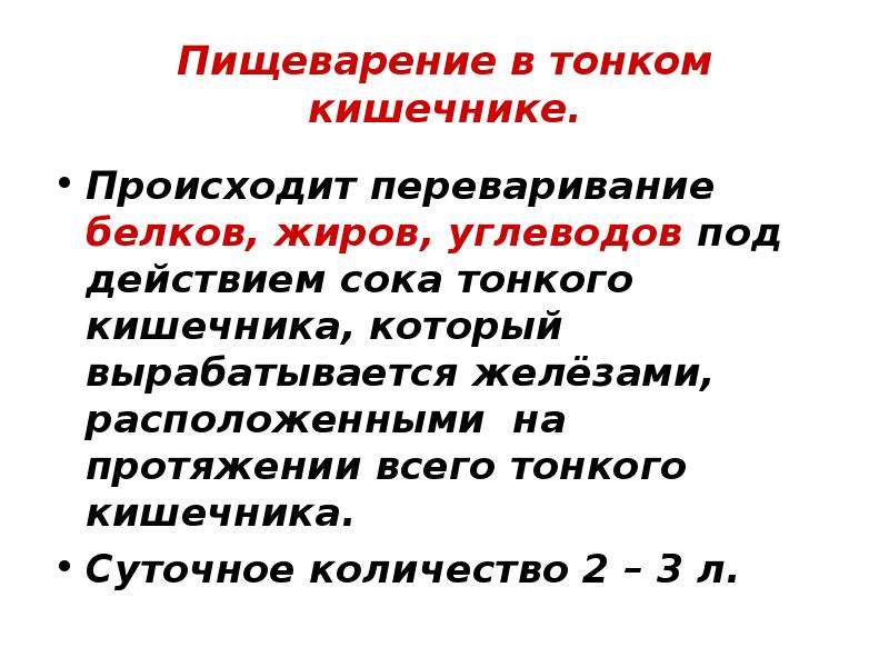 Выберите процессы происходящие в тонкой кишке. Пищеварение в тонком кишечнике. Пищеварение в тощем кишечнике. Пищеварение в тонком кишечнике физиология. Переваривание в тонком кишечнике.