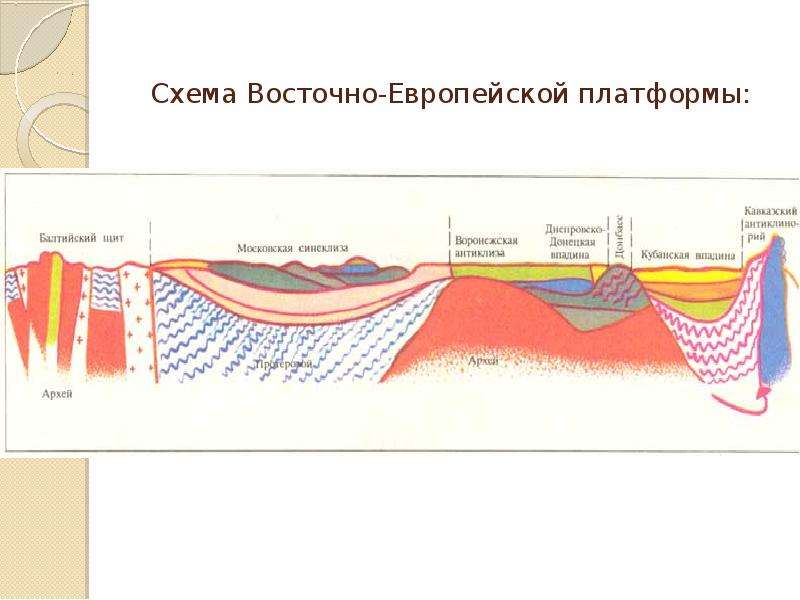 Тектоническая основа. Геологическое строение Восточно европейской платформы. Тектоническая основа Восточно европейской платформы. Восточно европейская платформа рельеф. Синеклизы Восточно-европейской платформы.