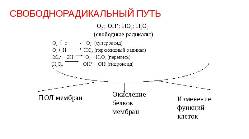 Процессы свободнорадикального окисления. Схема свободнорадикального окисления. Свободнорадикальное окисление биохимия. Свободно-радикальное окисление.