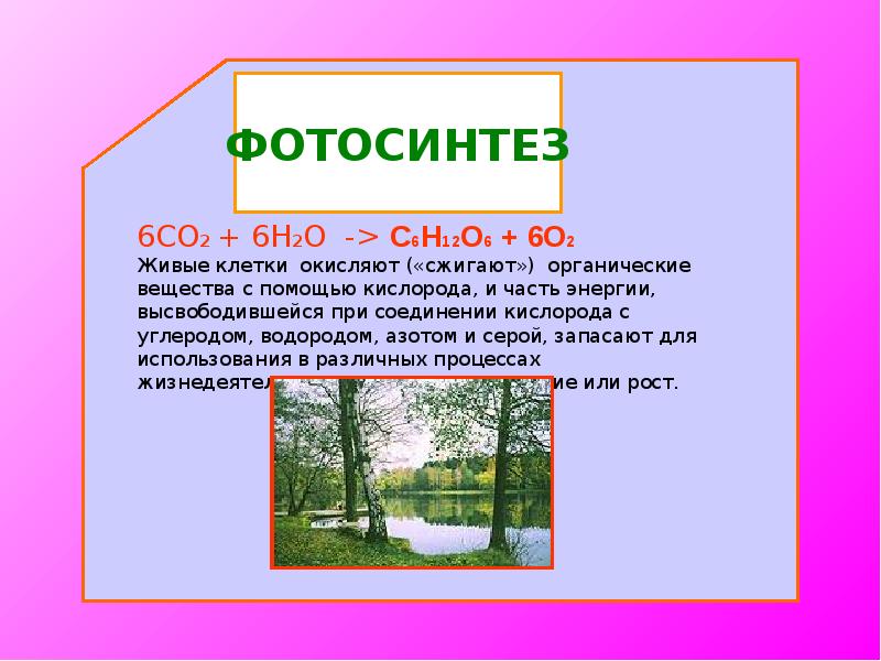 Проект по химии на тему соли в неживой природе