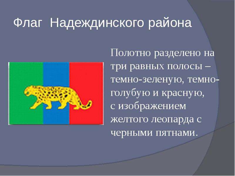 Флаг и герб приморского края картинки