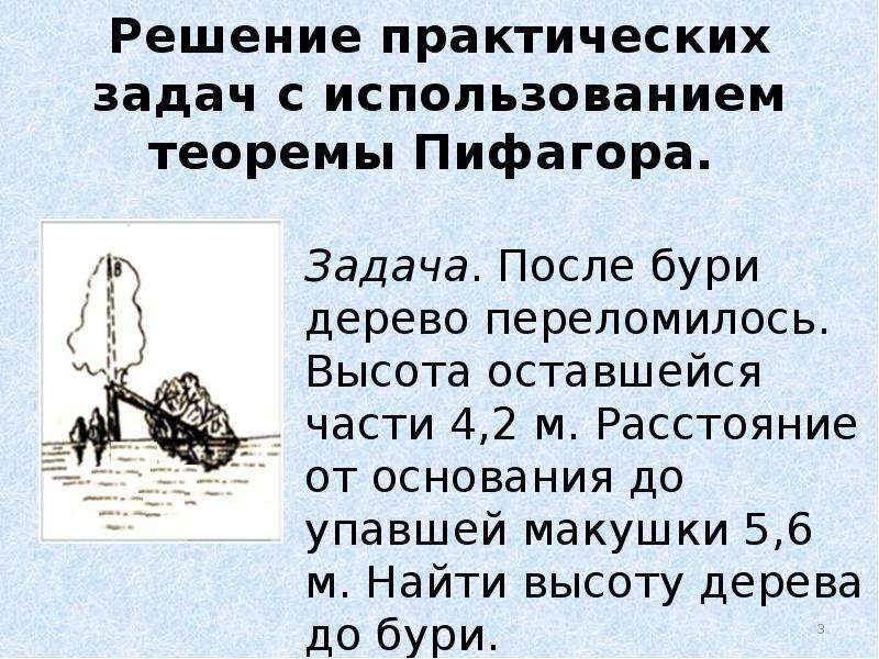 Задание страдания после бури. Задачи на обратную теорему Пифагора. После бури дерево переломилось высота оставшейся части 4.2. После бури сломалась ель высота оставшейся части.