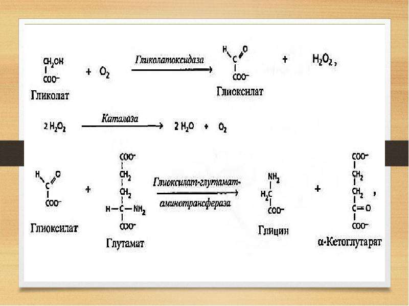 Фотодыхание это. Фотодыхание реакции. Гликолат. Гликолат формула. ГЛИКОЛАТОКСИДАЗА.