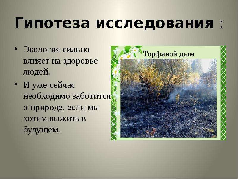 Гипотез природы. Гипотеза исследования экологии. Гипотезы на тему экология. Гипотеза проекта по экологии. Гипотеза о природе.