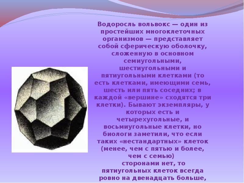 Правильные многогранники 6 класс презентация