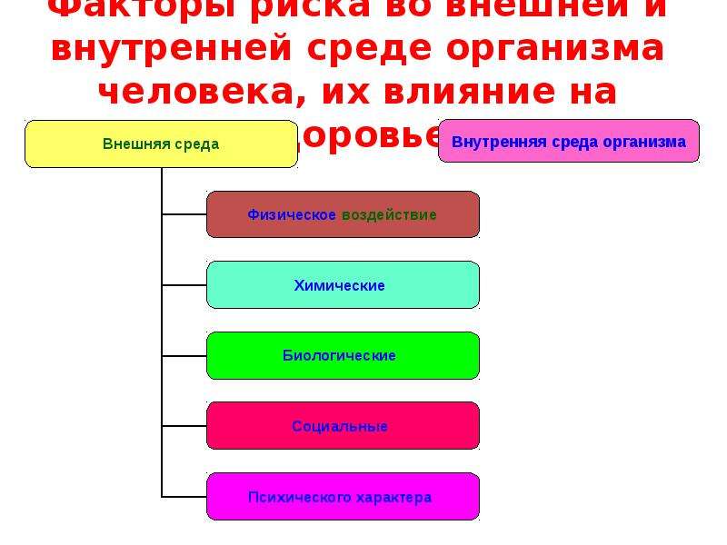 Назовите основные внешние. Влияние факторов внешней среды на организм. Факторы внешней среды негативно влияющие на здоровье человека. Факторы внешней среды которые влияют на здоровье человека. Влияние факторов внешней и внутренней среды на организм человека.