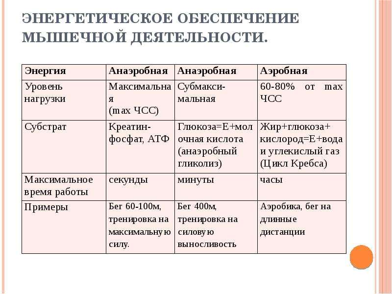 Энергетическое обеспечение