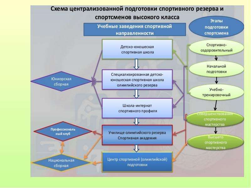 Внедрение проекта в реальные условия подготовки в спорте