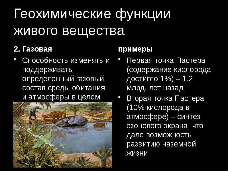 Газовая функция. Геохимические функции по Вернадскому. Газовая функция живого вещества примеры.