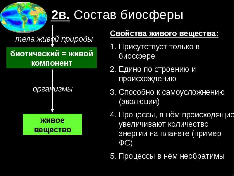 Биосфера презентация. Состав биосферы. Презентация на тему Биосфера. Химический состав биосферы.