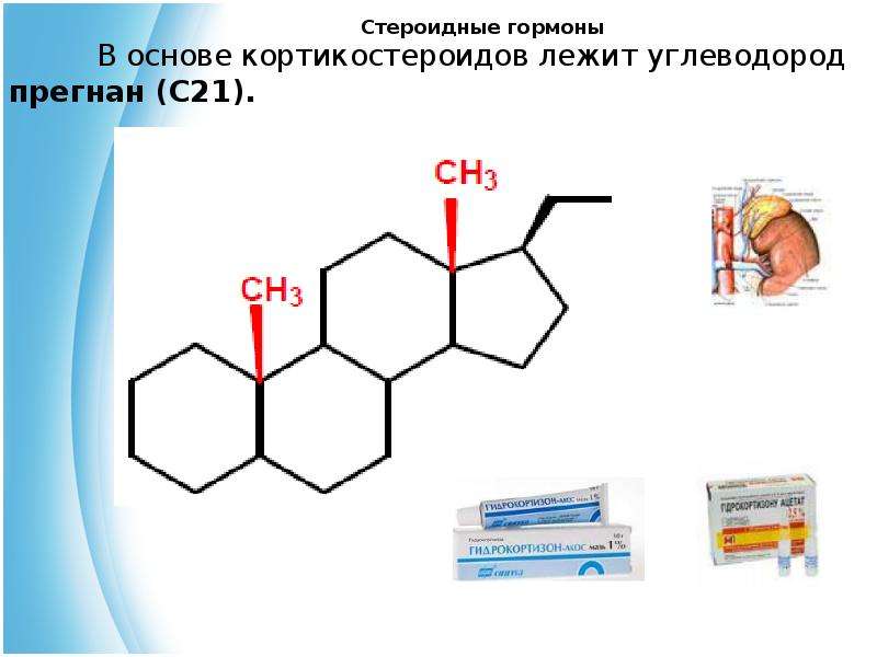 Стероидные гормоны презентация по химии