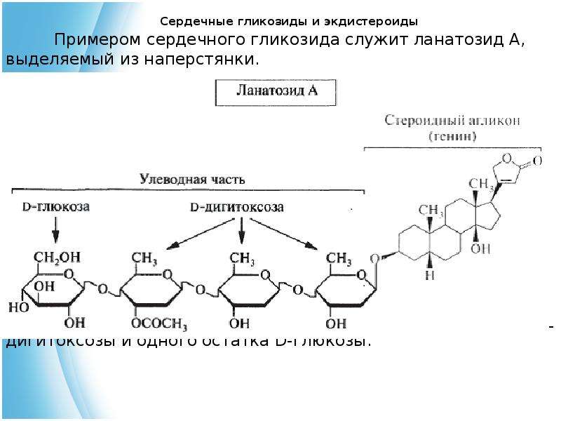 Органическая химия проект