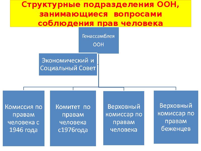 Международные органы по правам человека