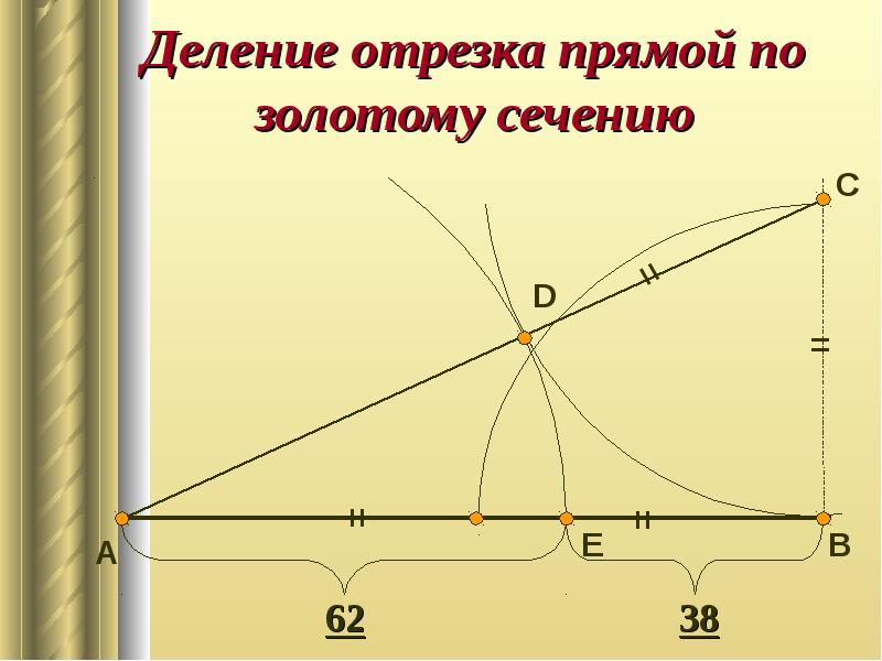 Гипотеза об истоках золотого сечения проект