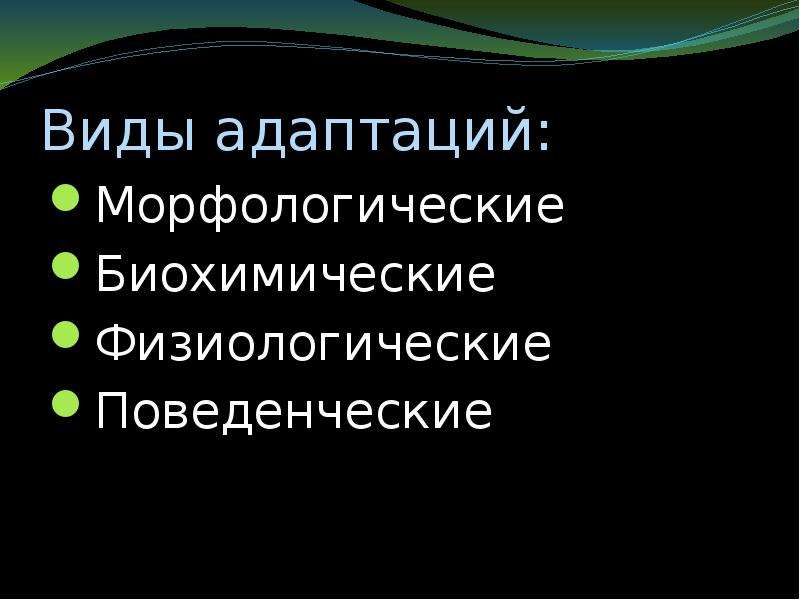 Главное представление. Морфологические и физиологические адаптации. Морфологические физиологические и поведенческие адаптации. Биохимические, физиологические и морфологические адаптации. Виды морфологических адаптаций.