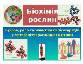 Будова, роль та значення полісахаридів у метаболізмі рослинної клітини