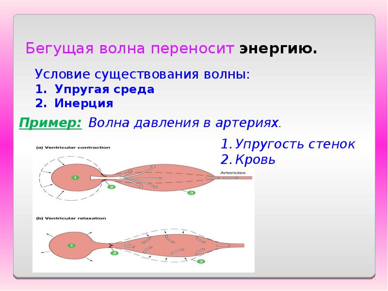 Волна переносит энергию