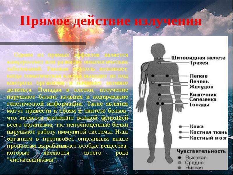 Презентация по теме биологическое действие радиации