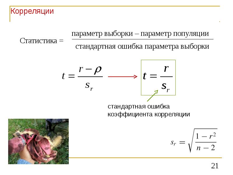 Ошибка параметра. Ошибка коэффициента корреляции формула. Стандартная ошибка коэффициента корреляции формула. Ошибка репрезентативности коэффициента корреляции. Формула определения ошибки коэффициента корреляции.