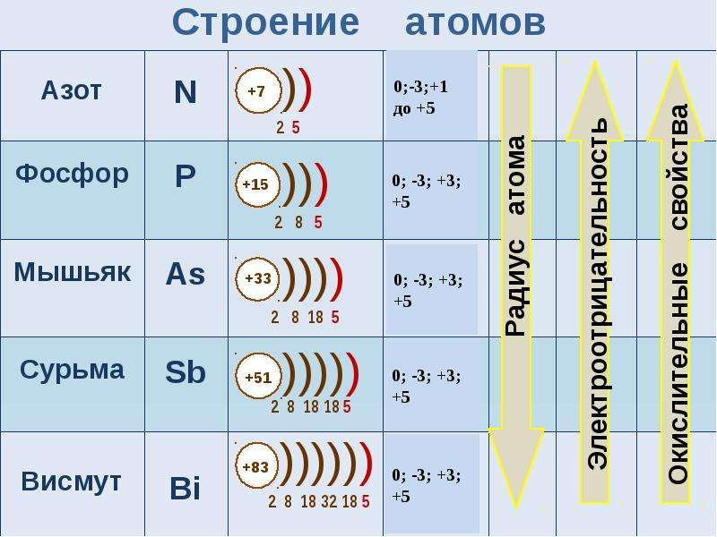 6 группа главная подгруппа презентация