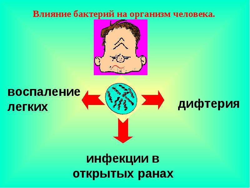 Влияние бактерий. Бактерии влияние на организм. Влияние вирусов на организм человека. Влияние микроорганизмов на организм человека.