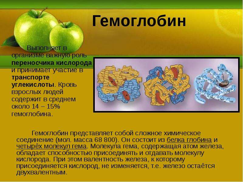 Химические элементы в организме человека презентация