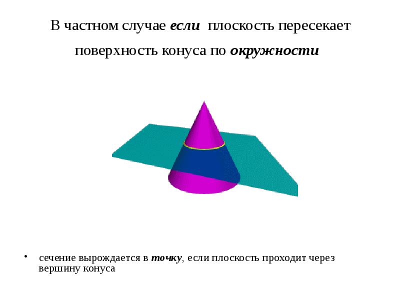 Плоскость пересекает конус