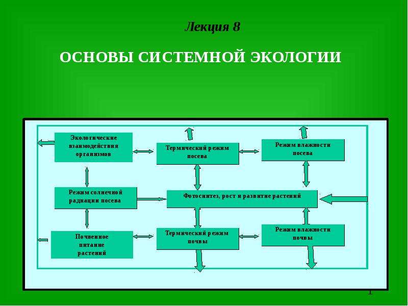 Экологические основы презентация