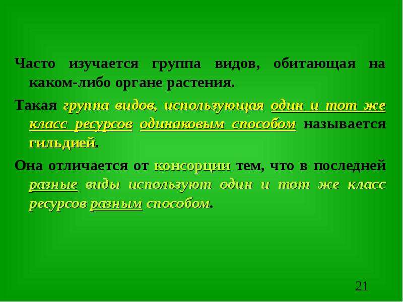 Системная экология презентация. То что изучается группой. Консорции в экологии. Изучается.