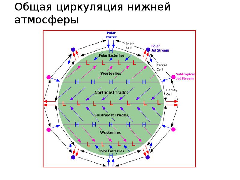 Общая циркуляция