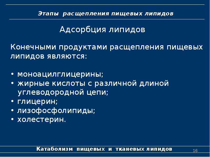 Этапы расщепления. Этапы протеолиза. Период расщепления наркотиков.