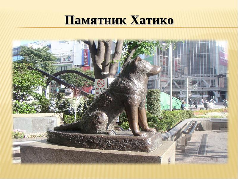 Хатико в каком городе. Статуя Хатико в Японии. Сибуя Токио памятник Хатико. Памятник собаке Хатико в Японии. Памятник собаке Хатико история.