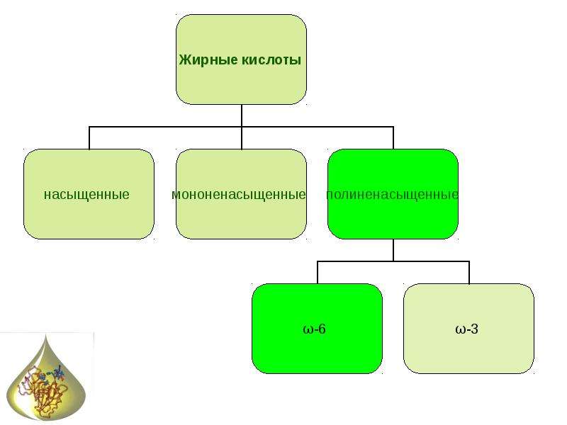 Омыляемые и неомыляемые липиды презентация