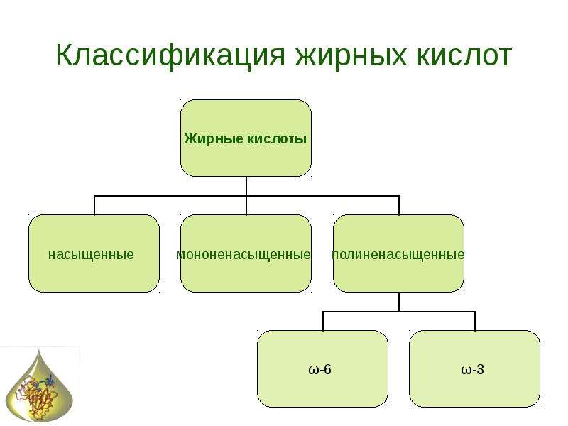 Омыляемые и неомыляемые липиды презентация