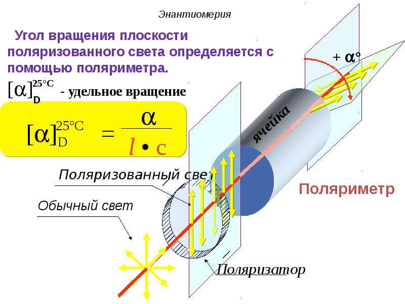 Плоскость поляризации. Удельный угол вращения плоскости поляризации. Вращение плоскости поляризации поляризованного света. Угол вращения плоскости поляризации света. Угол вращения плоскости поляризации.