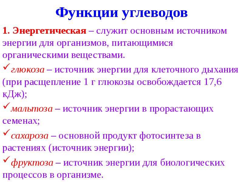 Энергетическая функция углеводов в организме человека