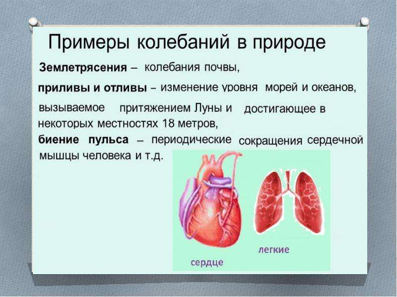 Презентация колебания в природе